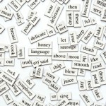 Assorted Magnetic Words